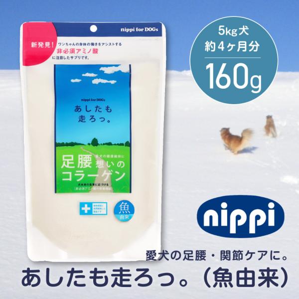 ニッピ　あしたも走ろっ。犬コラーゲン サプリメント 5袋 ニッピ サプリメント あしたも走ろっ。 犬用 40g サプリ 関節 皮膚