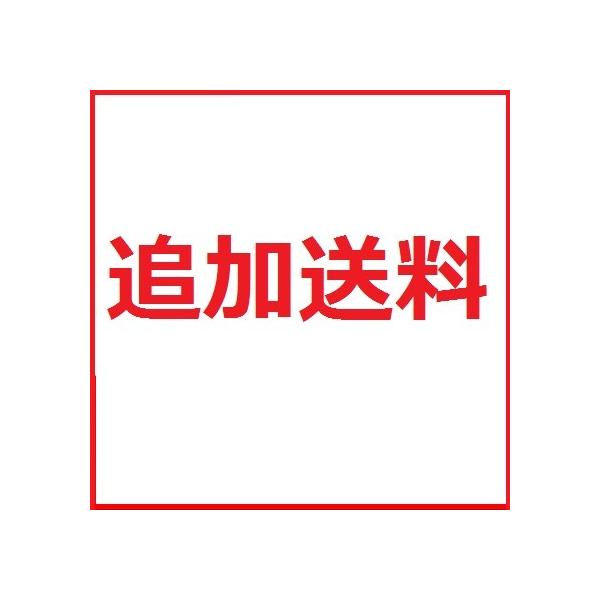 追加送料
