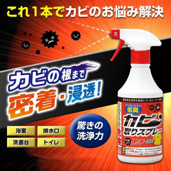 カビ取り剤 スプレー 洗剤 日本製 かび 予防 におい ニオイ 軽減 抑制 低臭 浴室 タイル 目地 ゴムパッキン 排水口 扉 窓 ガラス 低臭 カビ取り スプレー