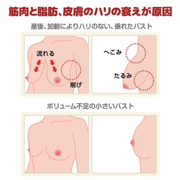 垂れたバスト ストレッチ Rf Ems バスト美容器 ヴァージンバストグラント 2個セット 両胸 バストアップ リフトアップ 胸 垂れ乳 送料無料 Www Arilab Com Tr Index Php