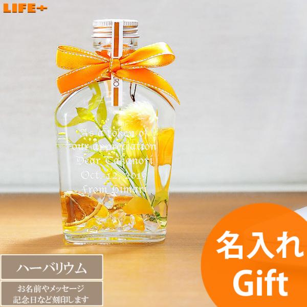  Mtg n[oE j JXj IV LO 킢 Nj 蕨 LOi JCC FB  ޏ e  M CG[