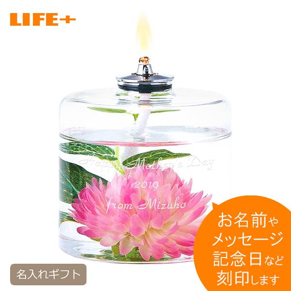 Mtg ICv n[oE A[gt[sN 킢 IV LO 蕨 LOi JCC  e  av[g