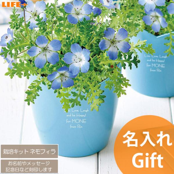  Mtg 킢 av[g  FB 蕨 JCC   ސEj ̎q  Fl FB  LOi  ltB