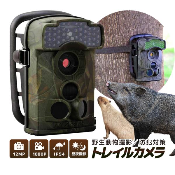ゴミ不法投棄監視 野生動物観察 トレイルカメラ 44個暗視led付 Ltl 5310 暗視効果抜群 不可視led使用 野生動物調査カメラ Lp Ltl5310 Buyee Buyee Japanese Proxy Service Buy From Japan Bot Online