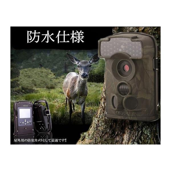ゴミ不法投棄監視 野生動物観察 トレイルカメラ 44個暗視led付 Ltl 5310 暗視効果抜群 不可視led使用 野生動物調査カメラ Lp Ltl5310 Buyee Buyee Japanese Proxy Service Buy From Japan Bot Online