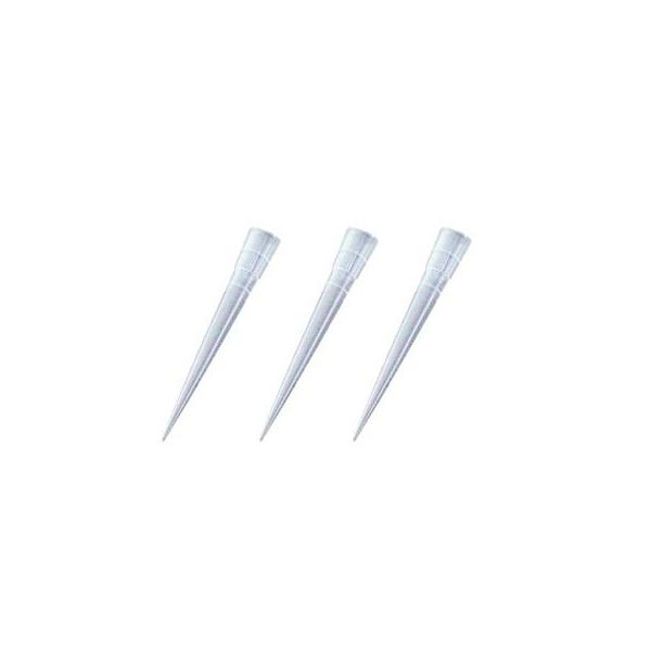 Thermo Fisher Scient �t�B���`�b�v 250���j�o�[�T�� �i1000�{�^�܁j 9400230