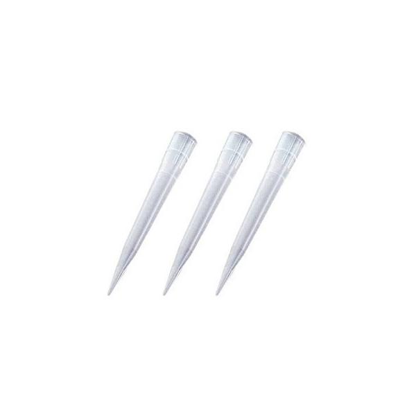 Thermo Fisher Scient �t�B���`�b�v 300 �i1000�{�^�܁j 9401260
