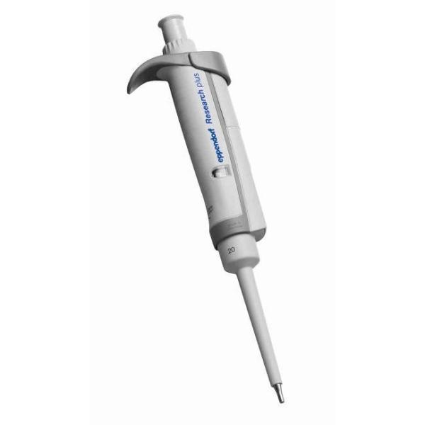 �G�b�y���h���t ���T�[�`�v���XV �i2�`20��l�j