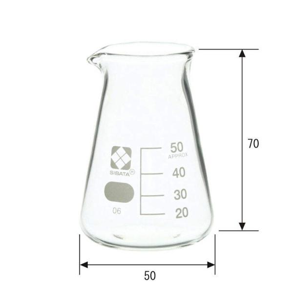 柴田科学 コニカルビーカー 50ml