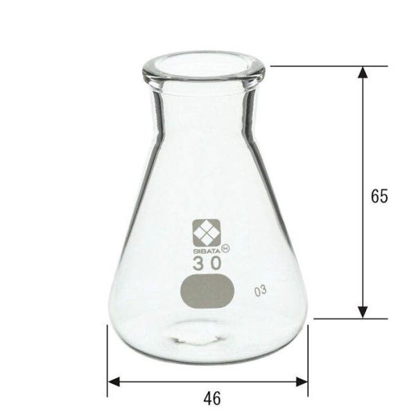 柴田科学 三角フラスコ 30ml