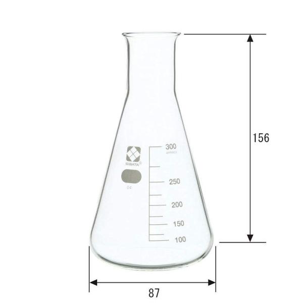柴田科学 三角フラスコ 300ml