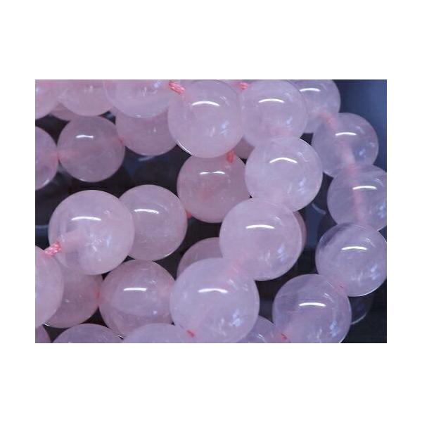 �V�R�΁@���@���[�Y�N�H�[�cAA�@10�����@�P�A����