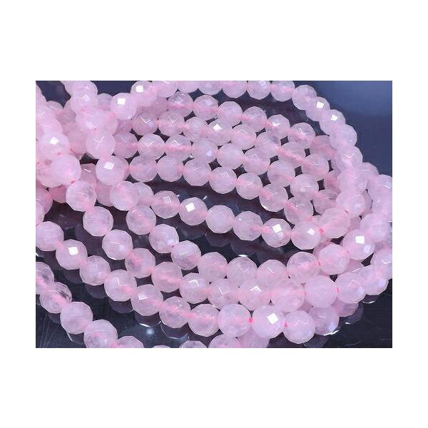 �V�R�΁@���@���[�Y�N�H�[�cAA�@64�ʃJ�b�g�@8�����@�P�A����