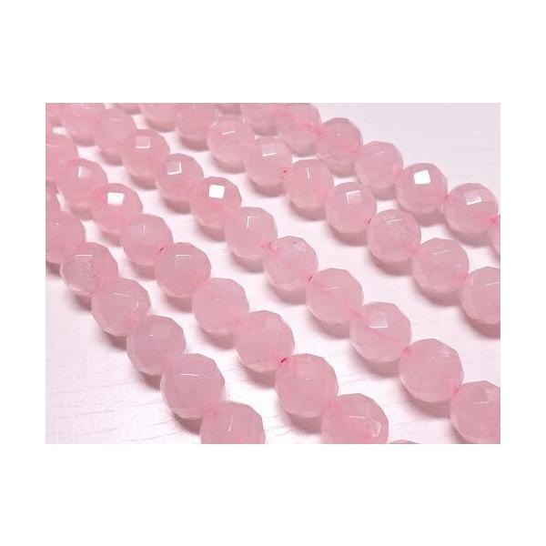 �V�R�΁@���@���[�Y�N�H�[�cAA�@64�ʃJ�b�g�@10�����@�P�A����