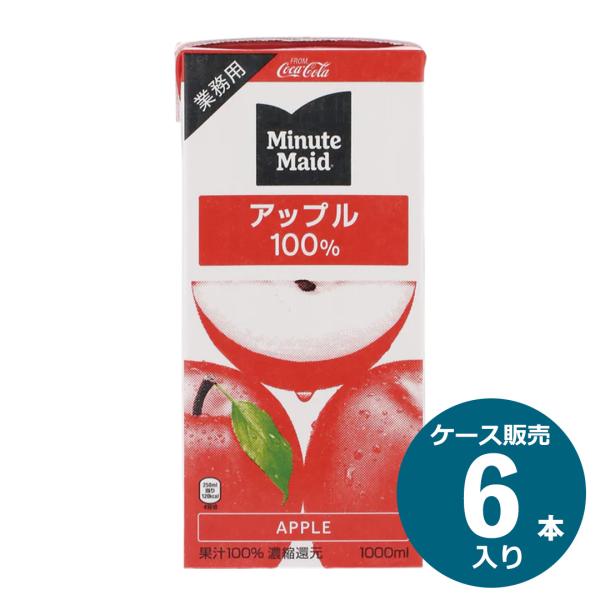Coca Cola（コカコーラ） ミニッツメイド アップル 100% 業務用 紙