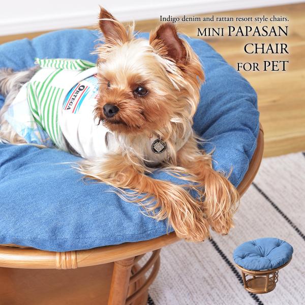 ppT`FA ^ ybgXc[ ybgp ybgpxbh ybg`FA ybgXc[ ֎q `FA ybg Ck lR Ibg} V