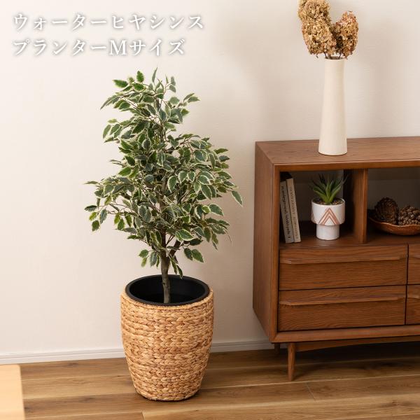 プランター ウォーターヒヤシンス 鉢 インテリア アジアン 観葉植物