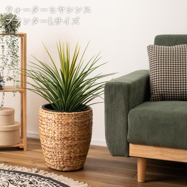 プランター ウォーターヒヤシンス 鉢 インテリア アジアン 観葉植物