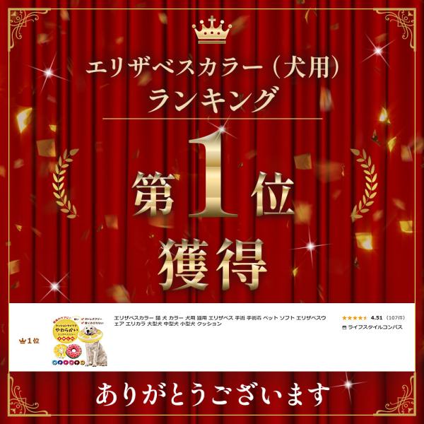 �G���U�x�X�J���[ �L �� �J���[ ���p �L�p �G���U�x�X ��p ��p�� �y�b�g �\�t�g �E�F�A �G���J�� ��^�� ���^�� ���^�� �N�b�V���� ���i�摜2