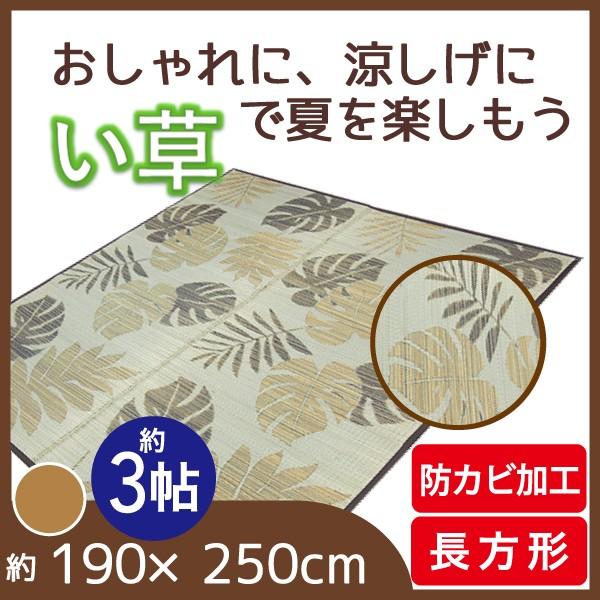 ラグ カーペット マット リビングマット い草 天然素材 おしゃれ 和モダン 190 250cm 長方形 3帖 3畳 モンステラ Ca4244br Lifestyle Plus 通販 Yahoo ショッピング