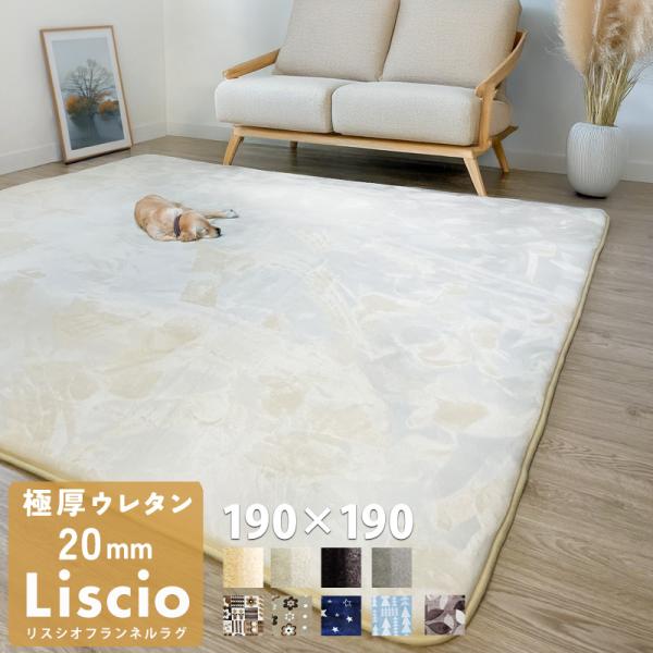 【サイズ】190×190cm×厚さ2cm 正方形【素材】表：ポリエステル100%詰め物：ウレタン20mm裏：不織布・四隅滑り止め【重さ】約2.4kg【企画】日本【製造国】中国製【その他】ホットカーペット対応・洗濯不可ラグ 絨毯 じゅうたん ...