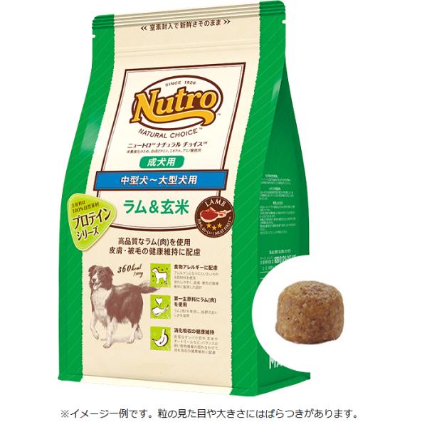 ナチュラルチョイス 各種 ナチュラルチョイス ニュートロ 減量用 超小型〜小型犬 成犬用