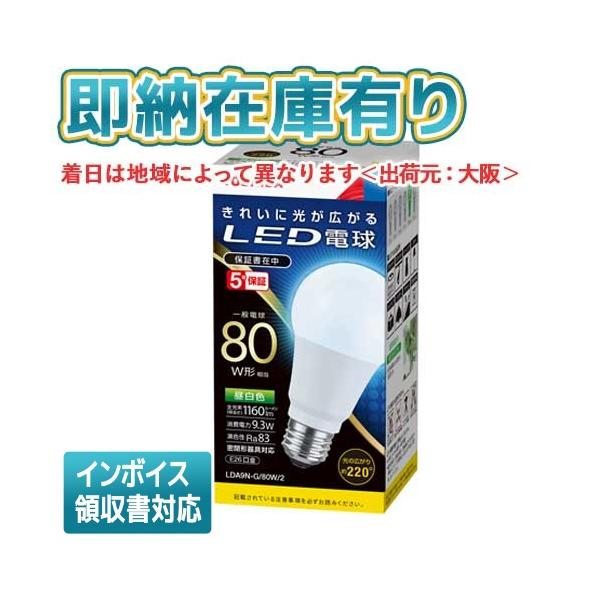 light-expert_102k01707