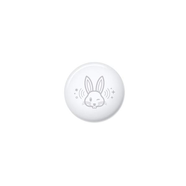 Apple Apple AirTag うさぎ 限定デザイン 1個 アップル 保証開始