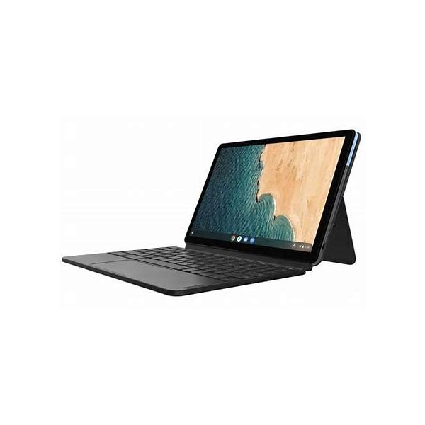 Lenovo（レノボ） Lenovo IdeaPad Duet Chromebook ZA6F0019EC : らい