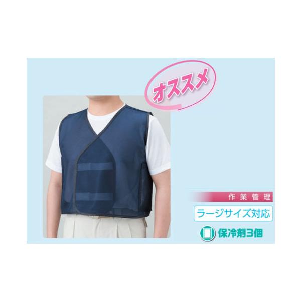 MǑ΍􏤕i  jbg  HO-790 N[xXg