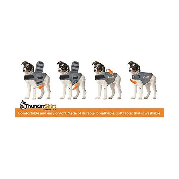 サンダーシャツ 犬用品 クラシック Lightly グレー M サイズ M Lightly Row