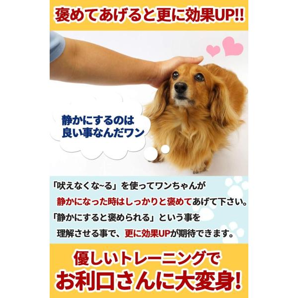 吠えなくな る最新型 犬用小型無駄吠え防止装置 超音波 片手に収まりどこでも持ち運び可能 愛犬のしつけ トレーニングに バークコントロール Skilledstaffsources Com