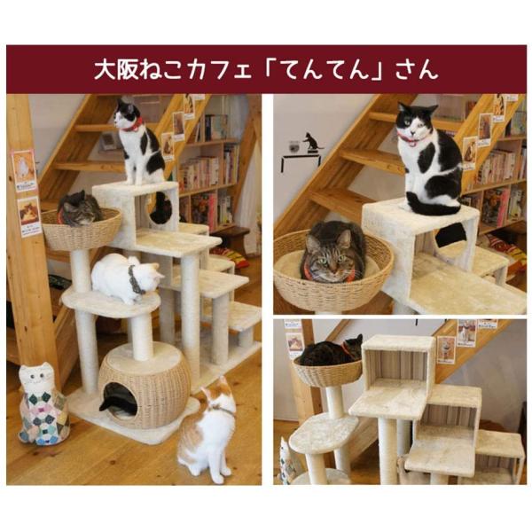 キャットタワーコンパクト 据え置き おしゃれカゴベットとカゴハウス付きのミニタワー 猫タワーおしゃれ キャットタワー木製 キャットハウス 可 Mediamoments In
