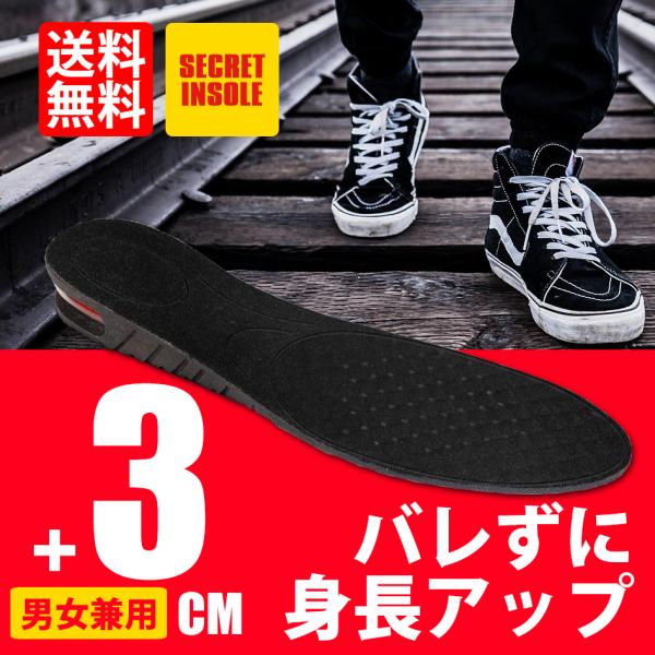 シークレットインソール 中敷 シューキーパーの人気商品 通販 価格比較 価格 Com