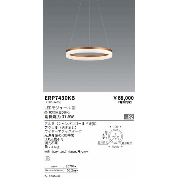 遠藤照明 ペンダントライト - シーリングライトの人気商品・通販・価格 