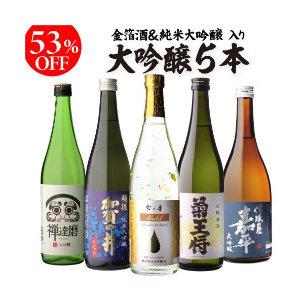 日本酒セット 大吟醸 日本酒 飲み比べ セット 720ml 5本 半額 ギフト 送料無料 清酒 実用的 プレゼント お酒  RSL