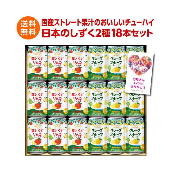 1本あたり100円送料無料 母の日カード付の訳あり 在庫処分 