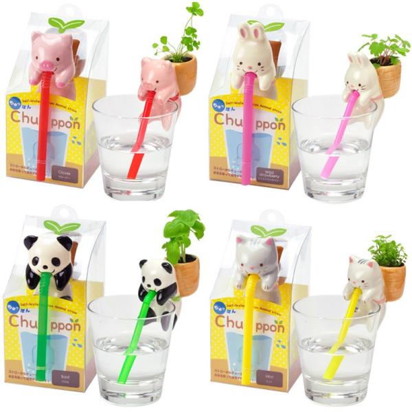 栽培キット 簡単栽培 家庭栽培 水耕栽培 かわいい 誕生日 ギフト Chuppon ちゅっぽん パンダ ウサギ ネコ ブタ ミント Buyee Buyee Japanese Proxy Service Buy From Japan Bot Online