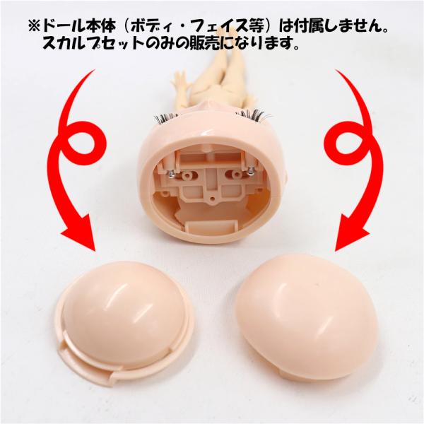 アイシードール ミディ スカルプ 1/8ドール カスタムドール ICY 着せ