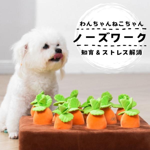 〇サイズ本体：35cm × 35cm × 厚み6.5cmにんじん：横幅6cm × 長さ11.5cm × 厚み4.5cm〇素材本体：カバー ポリエステル （中綿）スポンジにんじん：外側 ポリエステル （中綿）pp綿〇重量350g〇セット内容本...