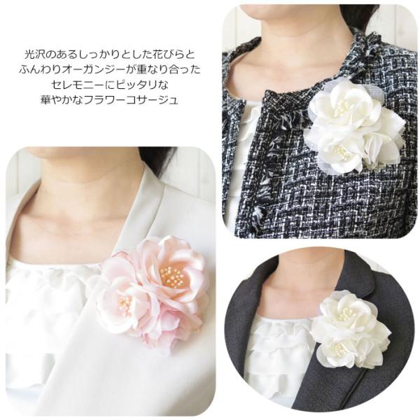 lilybellac_cs29_1_d_20231121074928