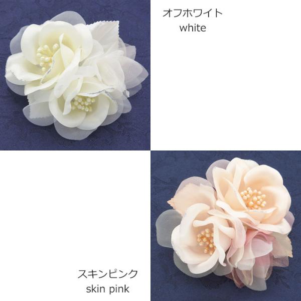 lilybellac_cs29_2_d_20231121074929