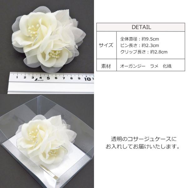 lilybellac_cs29_3_d_20231121074929