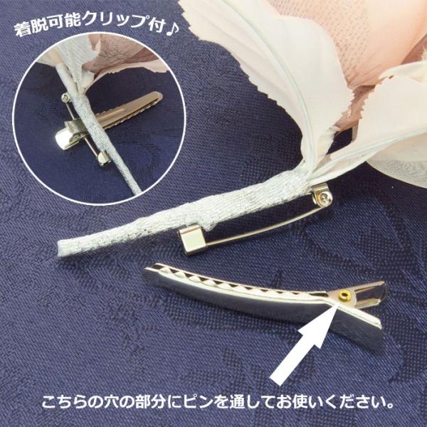 lilybellac_cs29_5_d_20231121080237