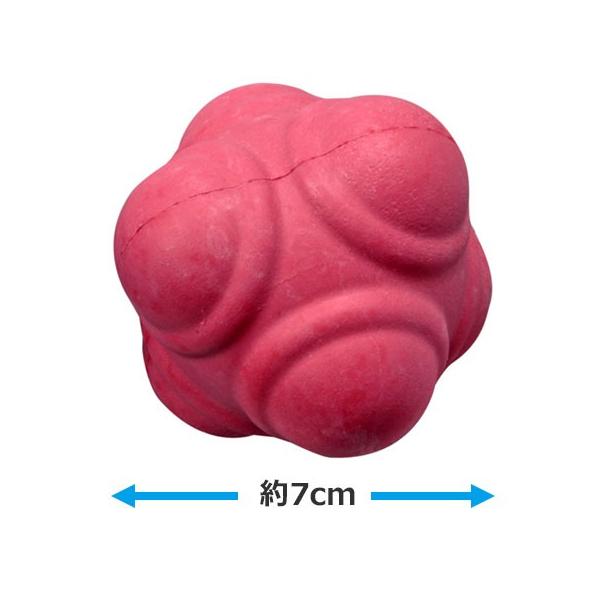 ANVjO{[ ANV{[ LINDSPORTS hX|[c