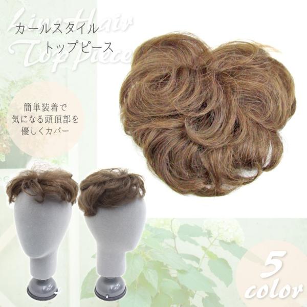 送料無料 人毛100 トップピース ボリュームアップ 部分ウィッグ 部分かつら レディース ブラック ブラウン 黒髪 茶髪 白髪 Buyee Buyee Jasa Perwakilan Pembelian Barang Online Di Jepang