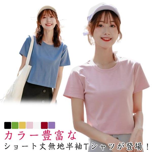 トップス クロップド丈tシャツ 半袖 クロップド丈tシャツ 丸首 シンプル ショート丈 tシャツ ラウンドネック カットソー 脚長効果 7色 おしゃれ