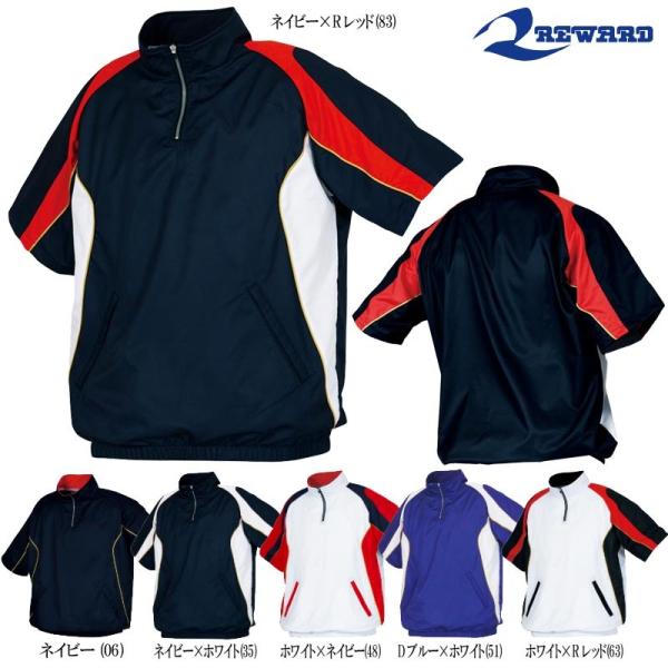 liner_gw31