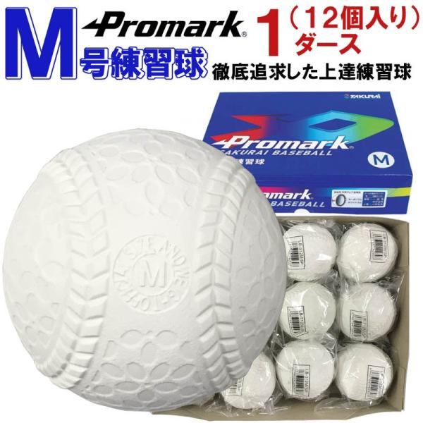 v}[N l 싅 K12 P_[X(12) OǋBK