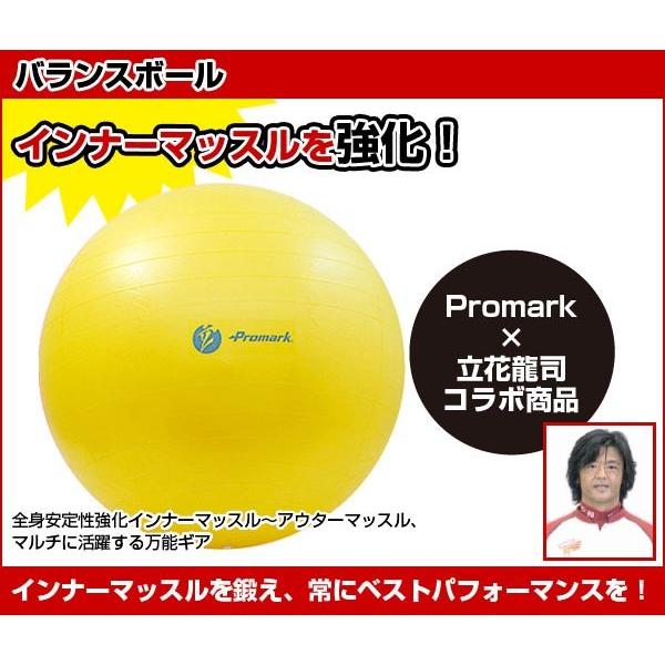 バランスボール 55cm 適用身長 150 170cm 体幹 筋トレ ダイエット ノンバースト ポンプ 空気入れ 付 プロマーク Promark Tpt0251 Tpt0251 ライナースポーツ 通販 Yahoo ショッピング